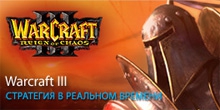  Warcraft III Reign of Chaos