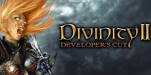  Divinity 2: Developer's Cut