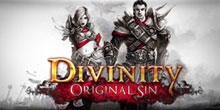  Divinity: Original Sin